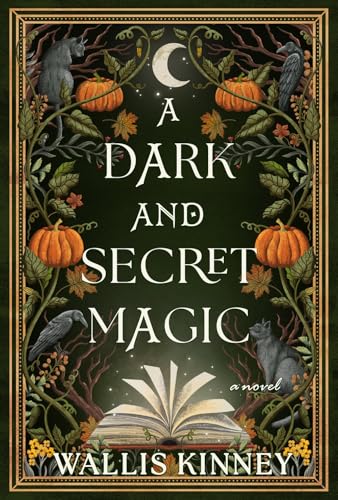 A Dark And Secret Magic: A Novel