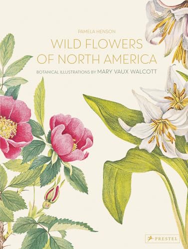 Wild Flowers Of North America: Botanical Illustrations
