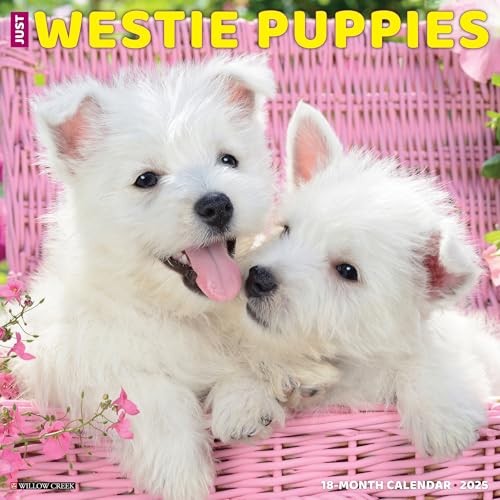 Westie Puppies 2025 Wall