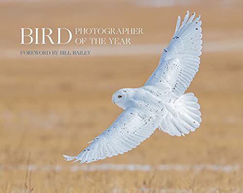 Bird Photographer Of The Year: Collection 6