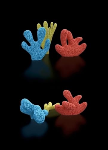 Claudia Comte: Cactus, Coral And Leaf Sculptures