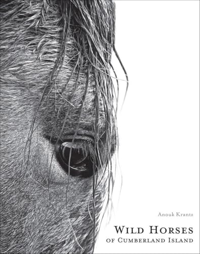 Wild Horses Of Cumberland Island: Anouk Masson Krantz