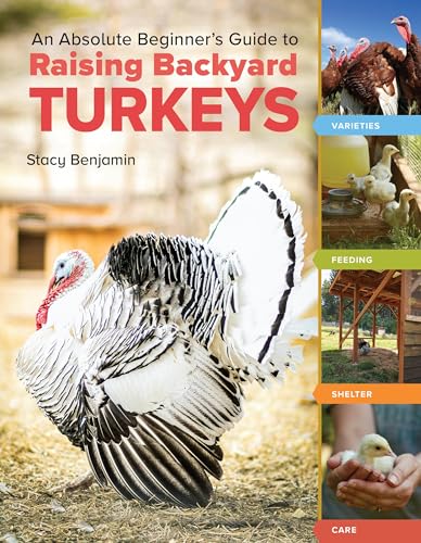 An Absolute Beginner'S Guide To Raising Backyard Turkeys: Varieties, Feeding, Shelter, Care