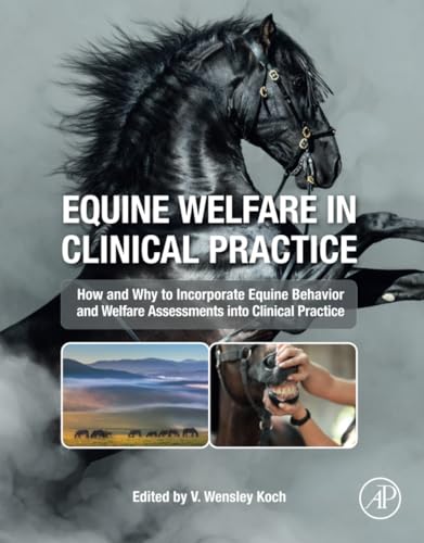 Equine Welfare In Clinical Practice