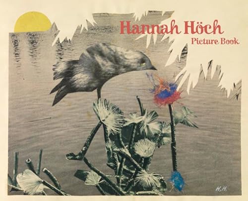 Hannah Hoch Picture Book
