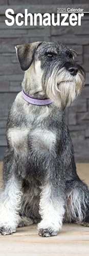 Schnauzer Slim 2025 Slimline Wall Calendar | Dog Breed Calendar