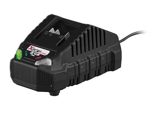 Parkside - Caricabatterie Della Serie X20V Per Batteria Pap 20 A1