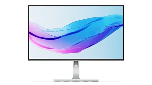 Lenovo L24M-4A Led Display 60,5 Cm (23.8") 1920 X 1080 Pixels Full Hd Gris