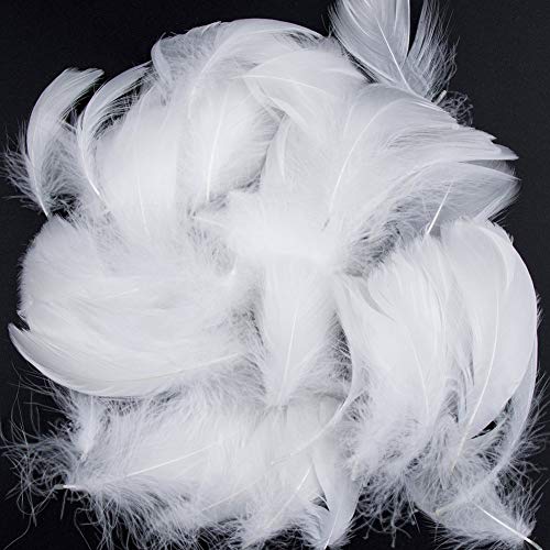 Piume Bianco,300 Pcs Piume Per Artigianato Piume Decorative Naturali Piume Per Acchiappasogni Fai Da Te Cappelli Costume Modisteria Decorazioni Per Fe