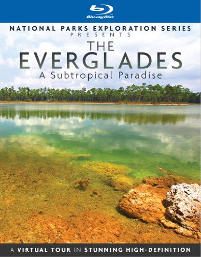 Everglades: A Sub-Tropical Paradise