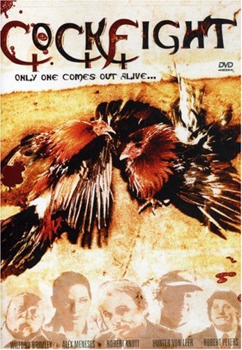 Cockfight-Only One Bird Comes