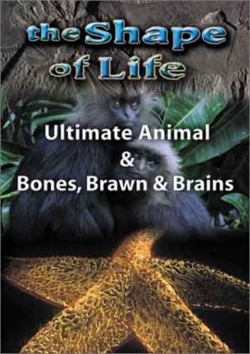 Shape Of Life 4: Ultimate Animal & Bones