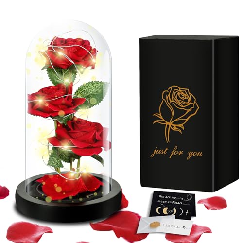 Tavada La Bella E La Bestia Rosa Eterna,Kit Di Rose,Rosa Bella E La Bestia Con Luce A Led Con 1 Biglietto Di Auguri,Festa Della Mamma,Idee Regalo San