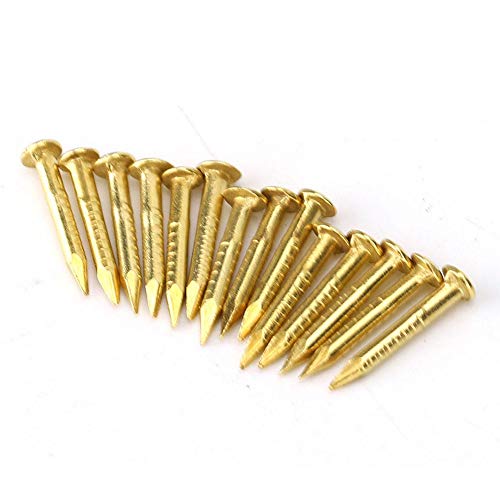 Chiodo In Ottone, Chiodo A Testa Rotonda 100 Pezzi, Mobili In Bronzo Con Funzione Di Fissaggio Forte Per La Casa(Length 10Mm)