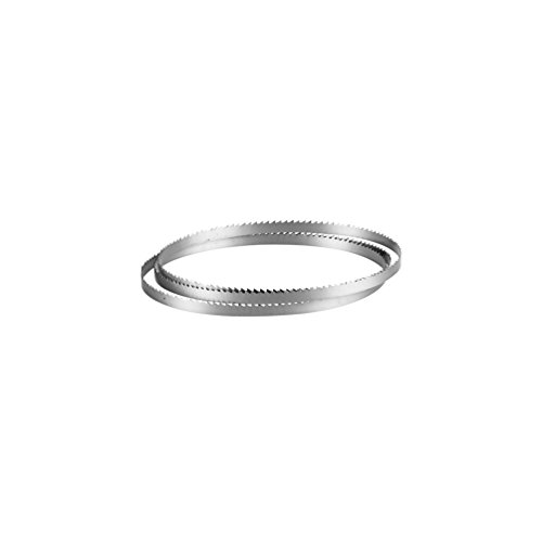 Hoja De Sierra 2950X12X0,5Mm T 6Mm