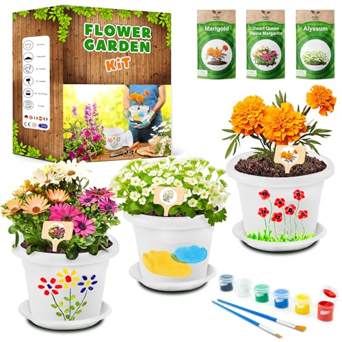 Pyef Crafts Kit Giardinaggio Bambini Laboratorio Dei Fiori - Kit Piante Bambini Gioco Crea Fiori - Flower Gioco & Orto In Serra Bambini - Kit Creativi