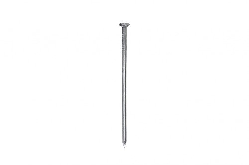 Chiodi Testa Piana Zincato 3,1X80Mm Gr.200