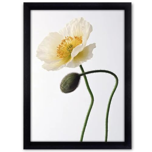 Diompirux Nero A3 Legno Massiccio Cornice (29.7X42Cm), Portafoto Montaggio Verticale O Orizzontale, Cornice Portafoto In Legno Con Vetro Acrilico E Ga