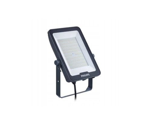 Philips Proiettore Ledinaire Bvp169 Led120830840865 Dob 100W Sw 12000Lm