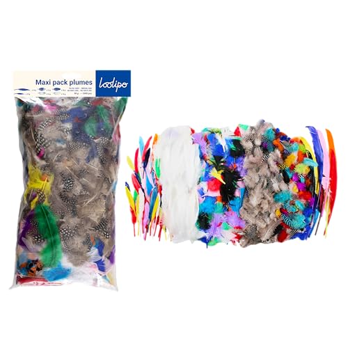 Sodertex Confezione Economica-Piume-Classe Intera-1000 Pezzi Naturale/Fagiano Colorato/Tacchino Indiano/Oche-Taglie E Colori Assortiti, Piuma, Assorti