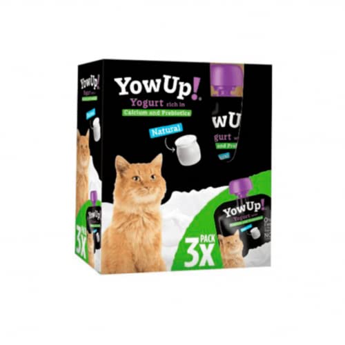 Yogur Para Gatos