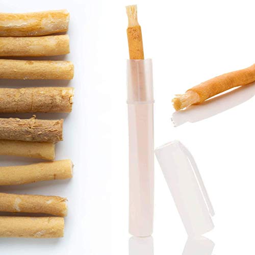 5X Miswak Spazzolino In Un Contenitore Fresco – Ideale Per Viaggio – Siwak - Spazzolino In Legno Di Alta Qualità - Vegan 100% Naturale Spazzolino Da D