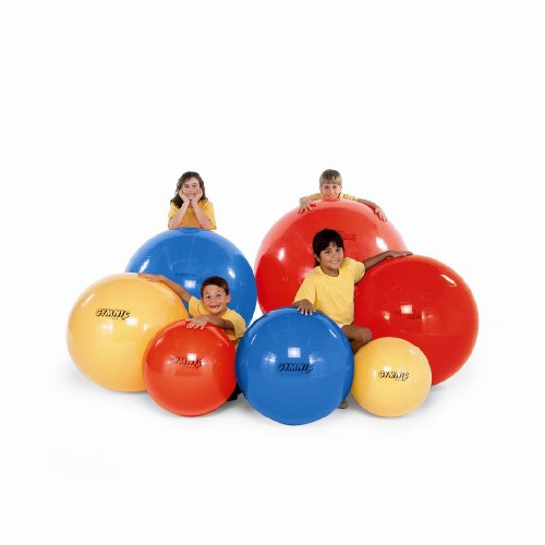 Nrs Healthcare Gym Ball - 45 Cm (17,5 Pollici) Diametro