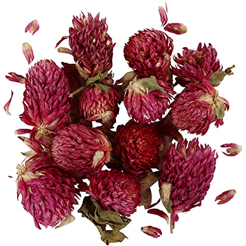 Creotime Fiori Secchi - Trifoglio Rosso - 15 Gr