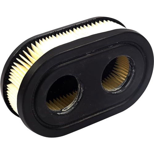 Filtro Dell’Aria Originale Briggs & Stratton 593260