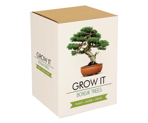 Gift Republic Grow It - Set Per La Coltivazione Di Un Albero Bonsai