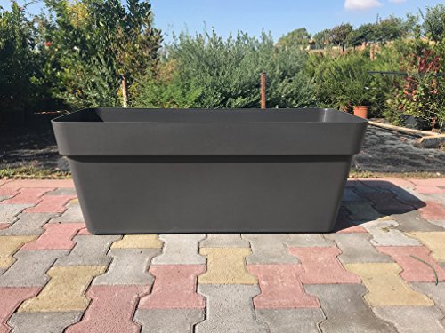 Fioriera Fioriere Vaso Rettangolare Plastica Forte 60 Cm Colore Antracite Modello Cleo Amdgarden