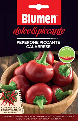 Semi Peperoncino Piccante Tondo Calabrese Blumen Sementi Orto