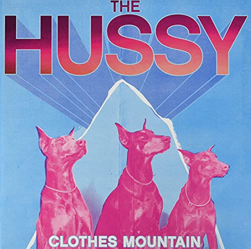 Clothes Mountain (10) - Hussy