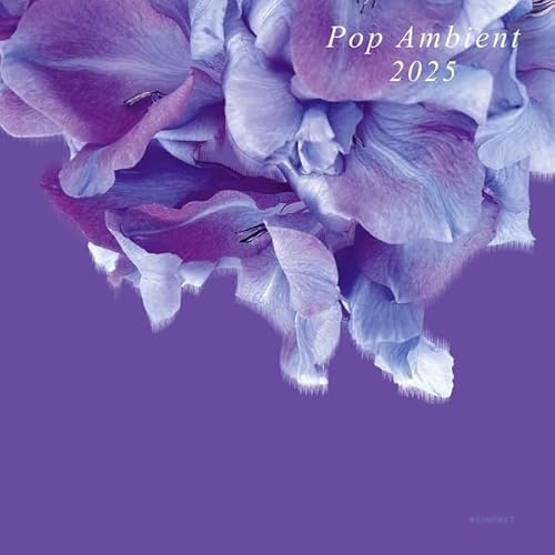 Various Artists-Pop Ambient 2025 Lp+Dl