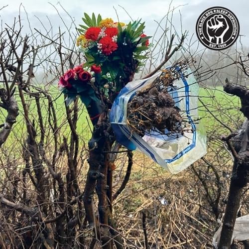 The Black Dog-Sleep Deprivation 2X12'
