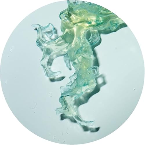 Altone-Invincible Nature Ep 12"