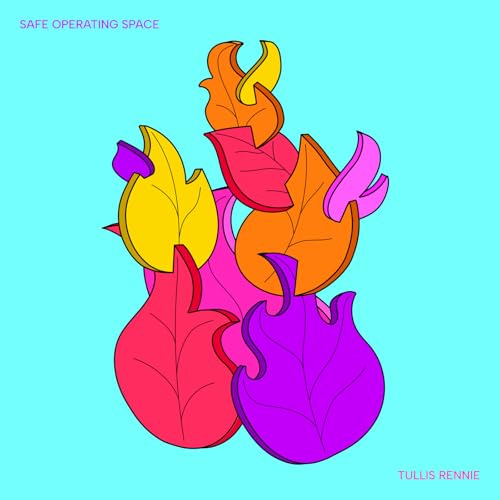 Safe Operating Space