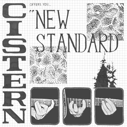 Cistern-New Standard Lp