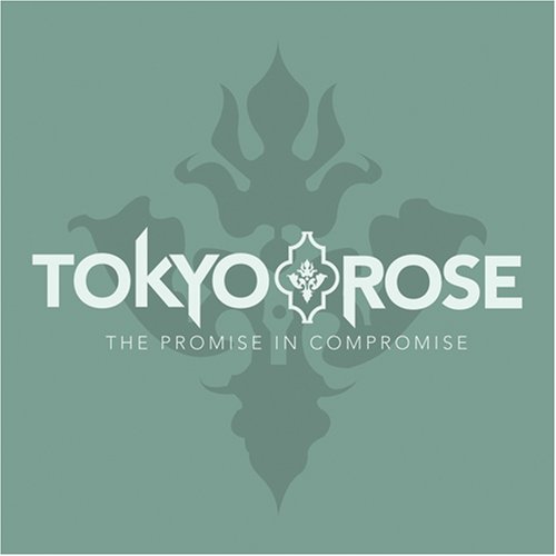 The Promise In Compromise