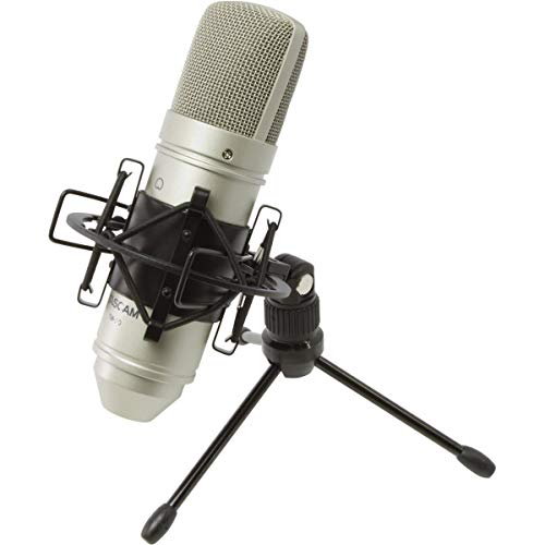 Tascam Tm-80 - Microfono A Condensatore Per Home Studio Recording
