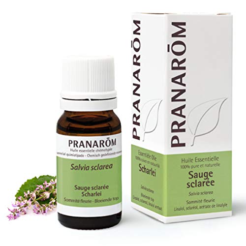 Salvia Romana Sumidad Florida 10 Ml