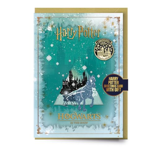 Harry Potter Hogwarts In The Snow Biglietto Di Auguri Di Natale Con Spilla Hogwarts Nella Neve
