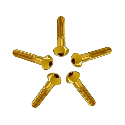 Rison-Titanium 5 Pezzi Viti A Testa Bombata In Titanio Con Esagono Incassato M6X30Mm, Viti A Brugola Bulloni In Titanio, Vite A Testa Semicircolare Vi