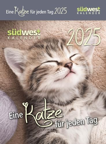 Eine Katze Für Jeden Tag 2025 - Tagesabreißkalender Zum Aufstellen Oder Aufhängen