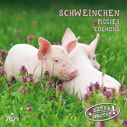 Piggies/Porcellino 2024: Calendario 2024 (Artwork Edition)
