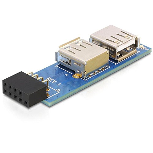 Delock 9-Pin 2.54 Mm/2 X Usb 2.0 1 X 9-Pin 2.54 Mm 2 X Usb 2.0-A Nero, Blu, Argento