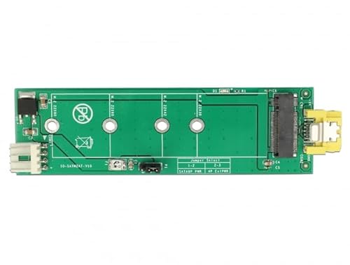 Delock Convertitore Sata Pin 8 Power Femmina > M.2 Key B Slot