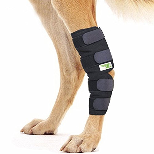 Tutore Ortopedico Dog Hock Brace Per Il Garretto Posteriore Canino (S)