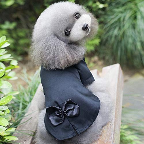 Animale Domestico Cane Vestito Banchetto Di Nozze Sottoveste Di Pizzo Gonna Piegano Il Vestito Abiti Da Sposa For Vestiti Pet Piccolo Cane, Formato: M