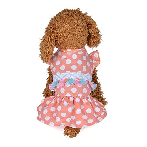 Animale Domestico Paulclub Sweet Summer Dress Carino Pet Pet Dot Frangia Gonna, Formato: M. (Colore Rosa) (Color : Pink)